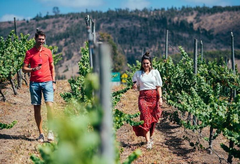 住宿加早餐 Villa Miramar At Casa Marin Vineyards