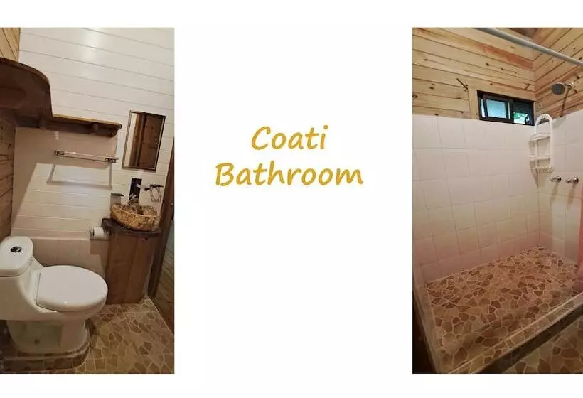 Cabinas Costa Tropicana