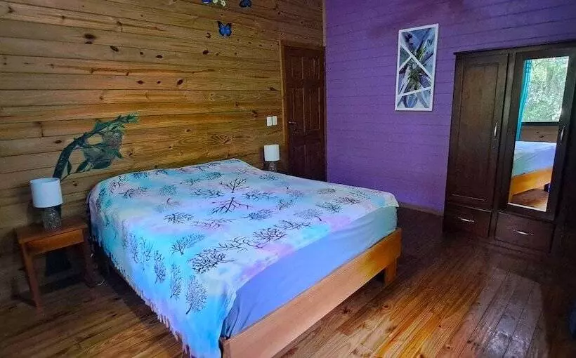 Cabinas Costa Tropicana