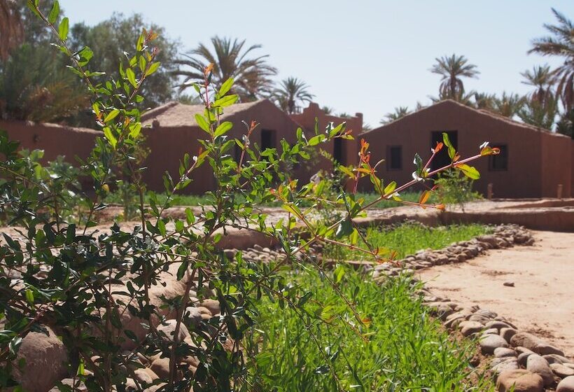 호텔 Kasbah Desert Camp