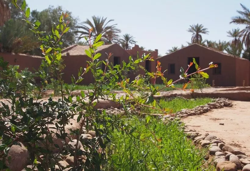 Hotelli Kasbah Desert Camp