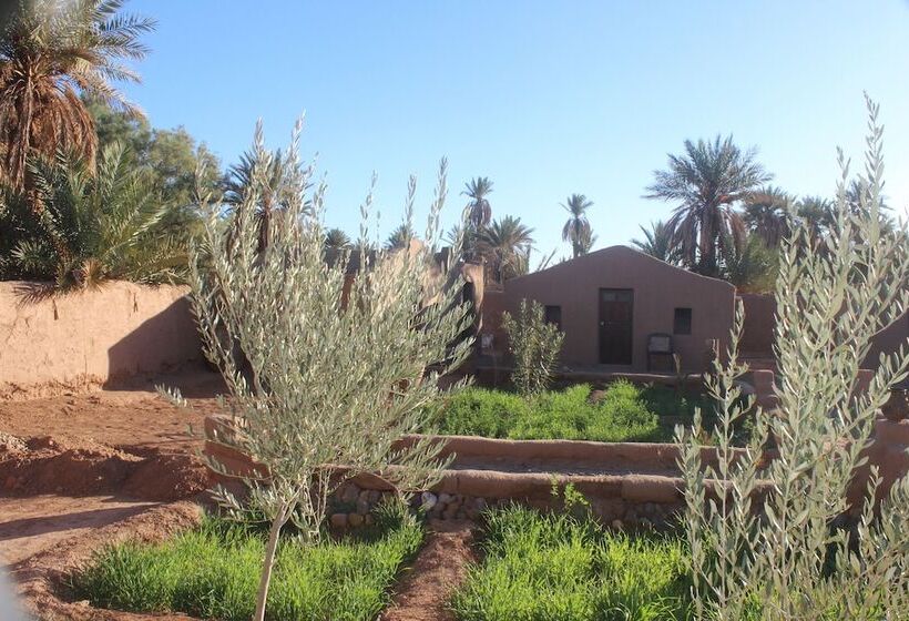 호텔 Kasbah Desert Camp