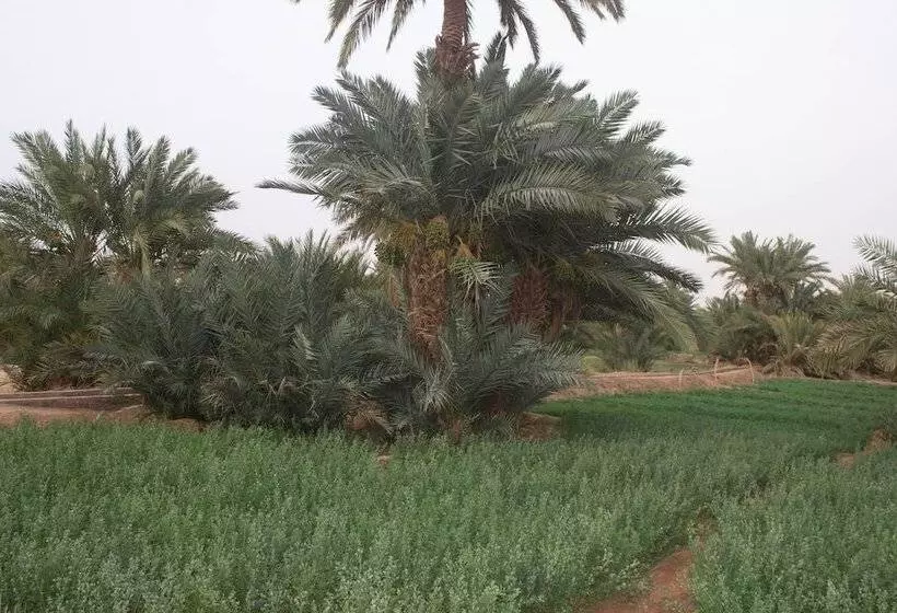 Hotelli Kasbah Desert Camp