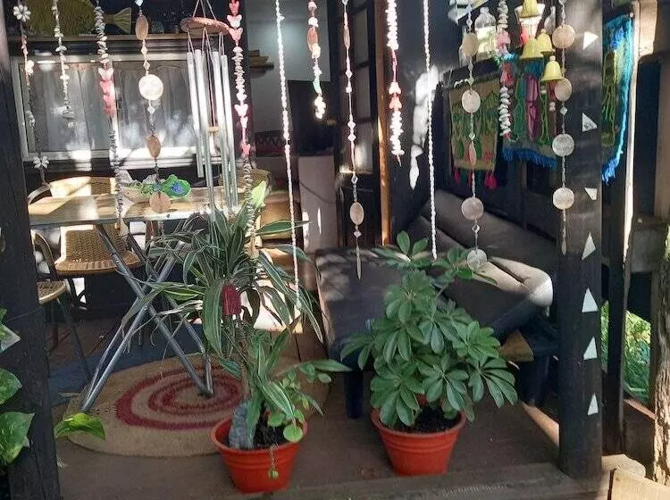 ホテル House Honu Rapanui Inn