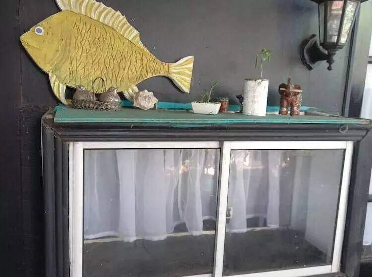 ホテル House Honu Rapanui Inn