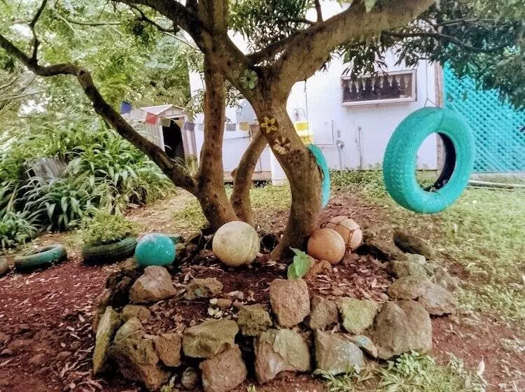 ホテル House Honu Rapanui Inn