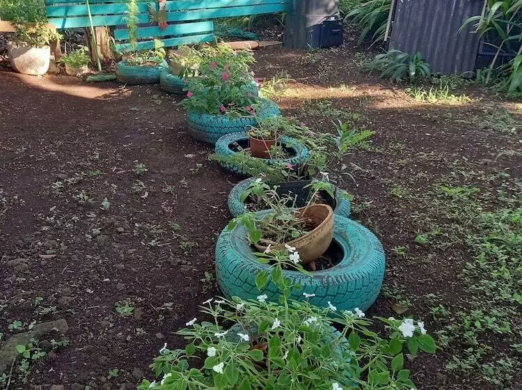 ホテル House Honu Rapanui Inn