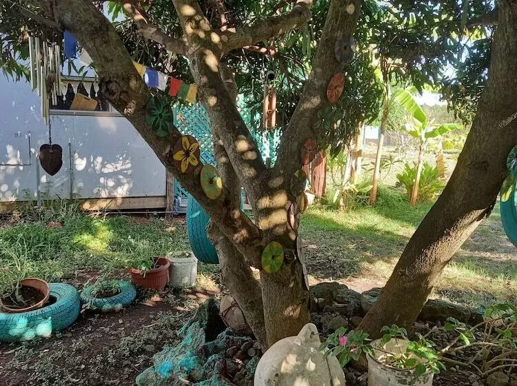 ホテル House Honu Rapanui Inn