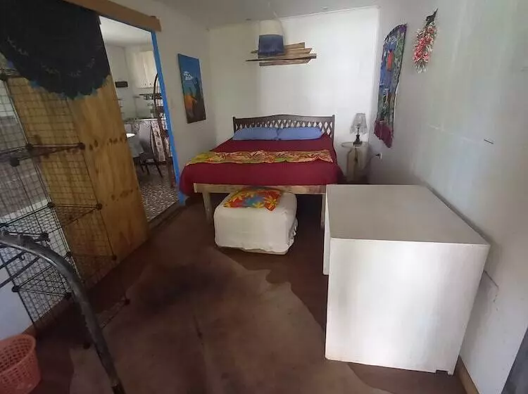 ホテル House Honu Rapanui Inn