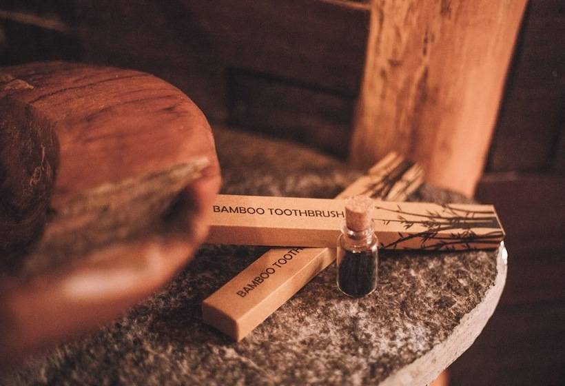 酒店 Roots Tree House