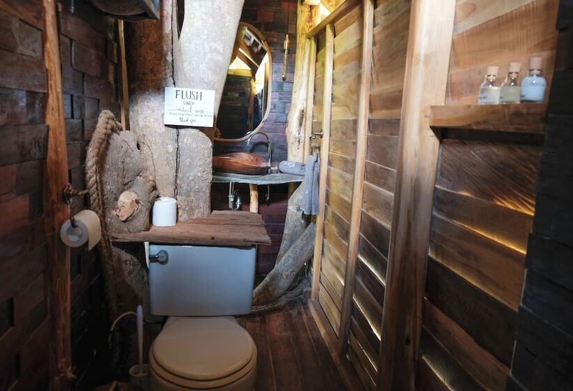 酒店 Roots Tree House