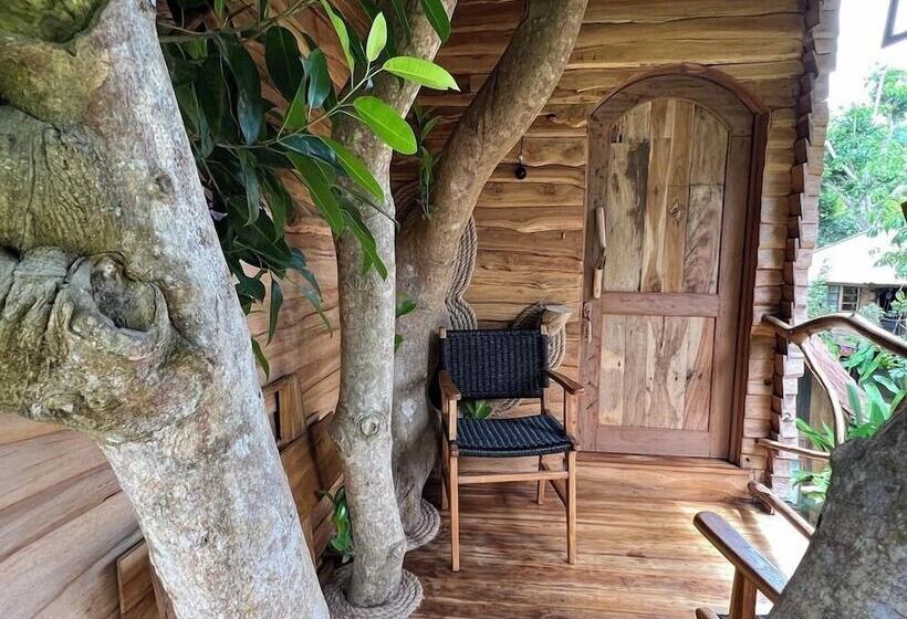 酒店 Roots Tree House