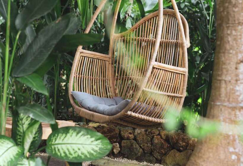 酒店 Roots Tree House