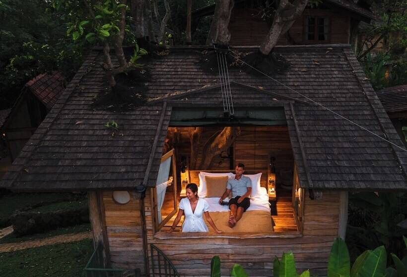 酒店 Roots Tree House