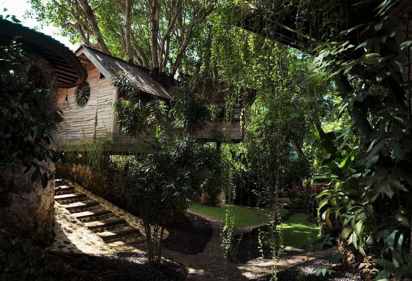 酒店 Roots Tree House