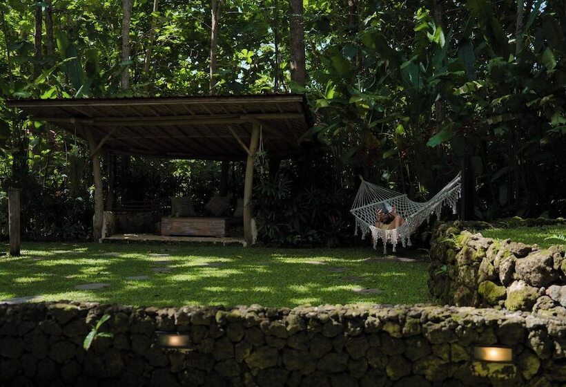 酒店 Roots Tree House