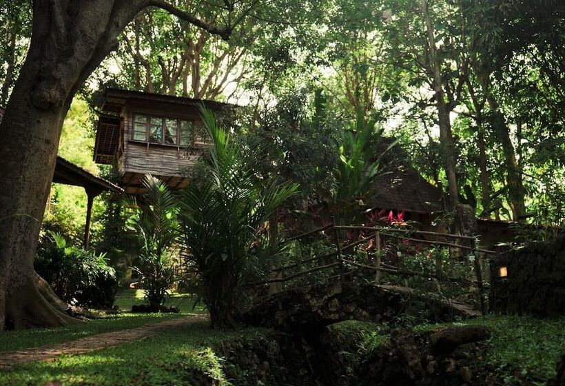 酒店 Roots Tree House