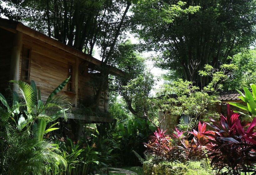 酒店 Roots Tree House