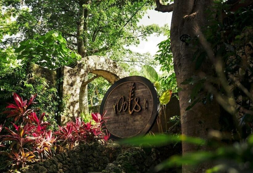 酒店 Roots Tree House