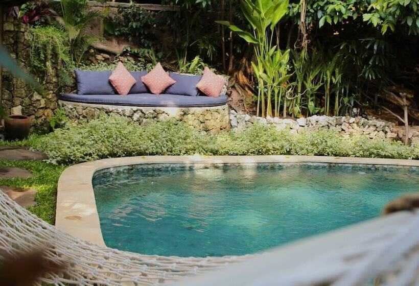 酒店 Roots Tree House