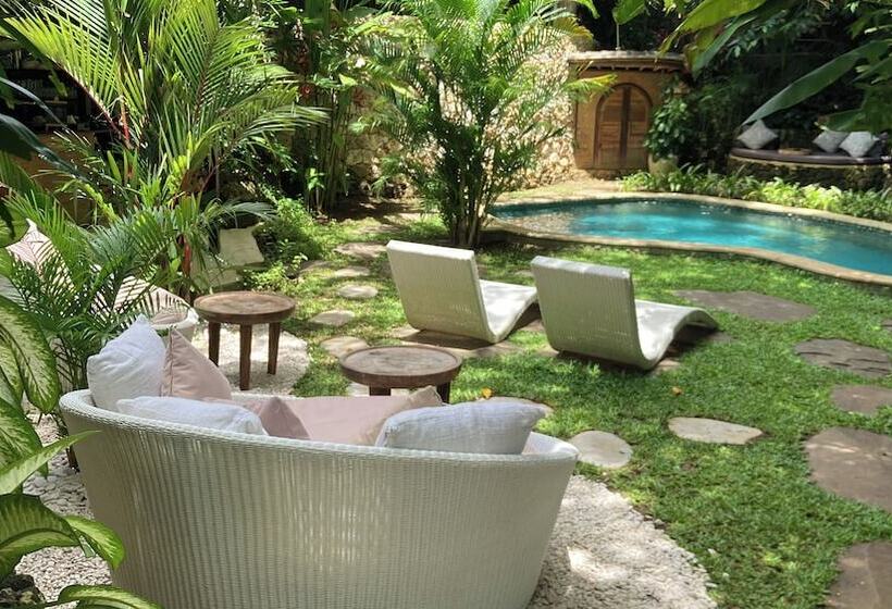 酒店 Roots Tree House