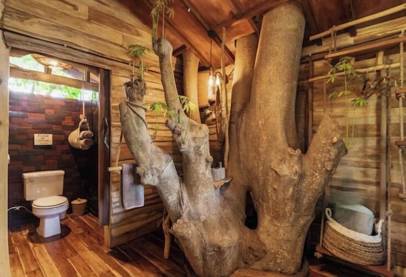 酒店 Roots Tree House