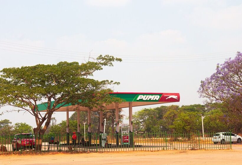 هتل Spring Resort