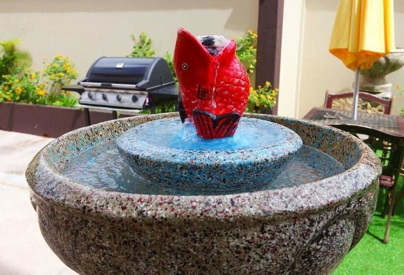 Lone Self Catering Apartment