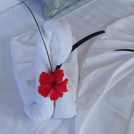 Lone Self Catering Apartment