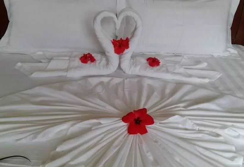 Lone Self Catering Apartment