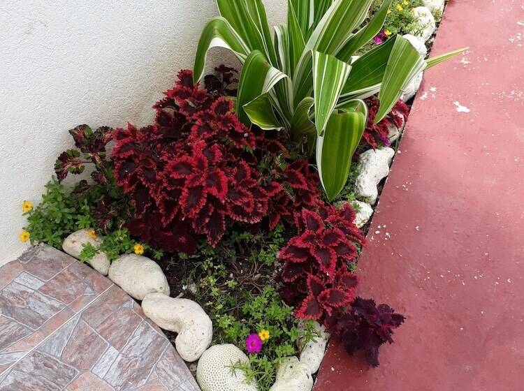 پانسیون Haven House Apartments