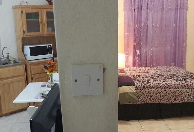 پانسیون Haven House Apartments