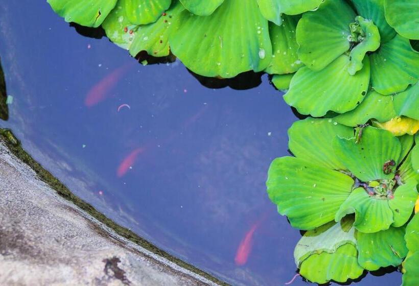 호스텔 Camote S Lake Retreat