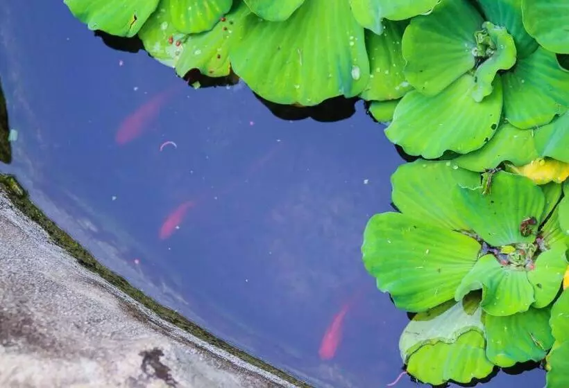 Retkeilymaja Camote S Lake Retreat