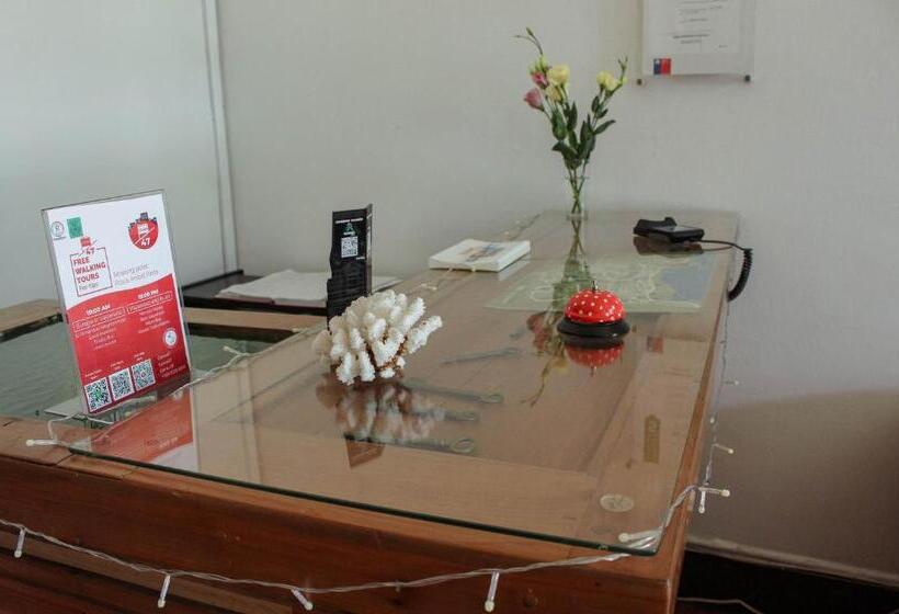 هاستل Nómada Eco Hostal