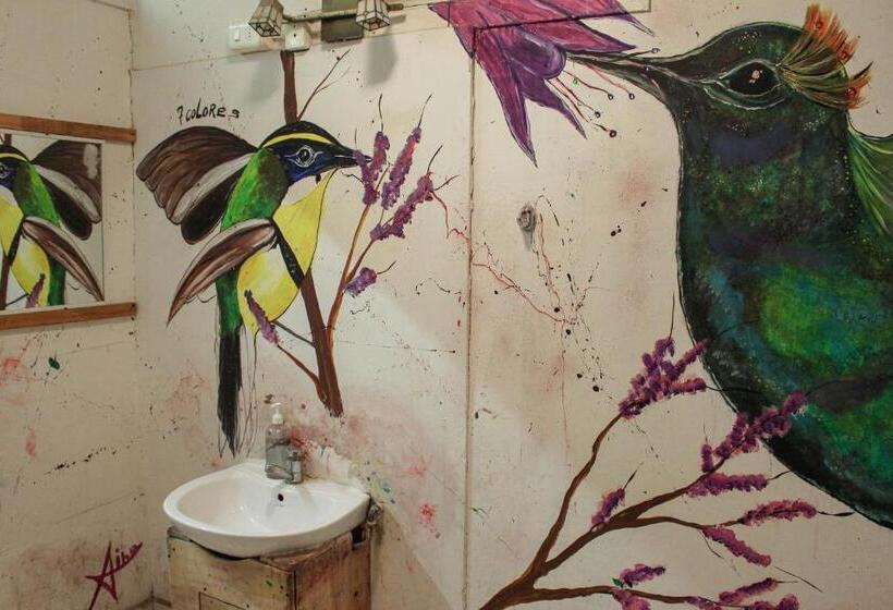 هاستل Nómada Eco Hostal