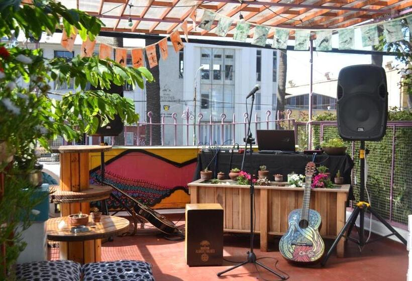 هاستل Nómada Eco Hostal