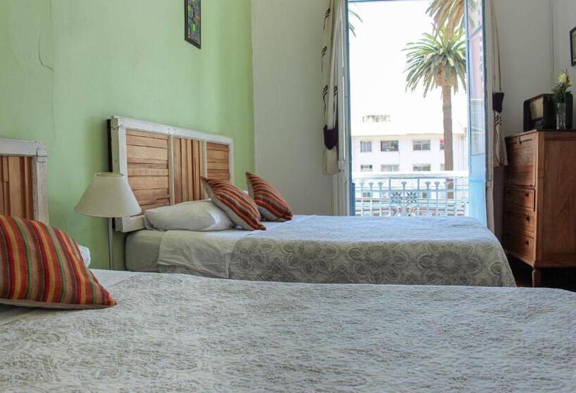 هاستل Nómada Eco Hostal