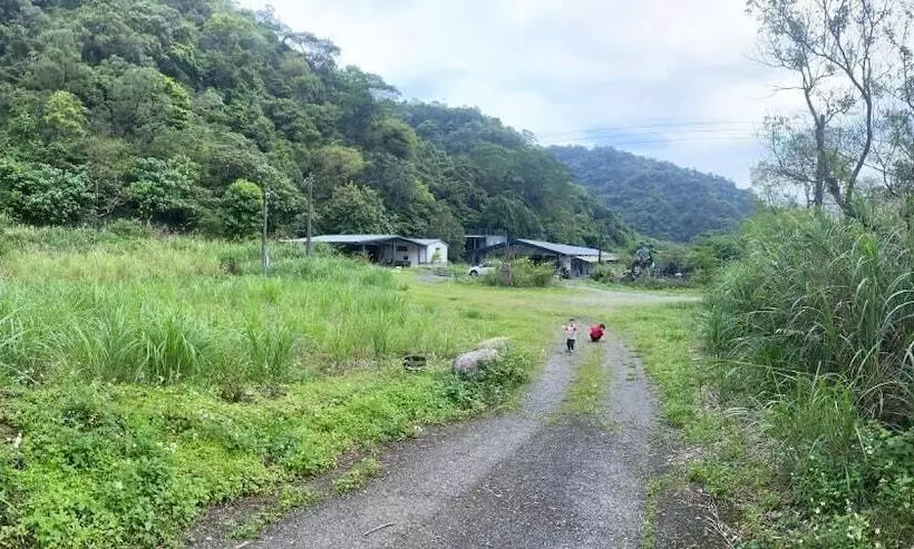 تختخواب و صبحانه Yongle Ecological Hostel