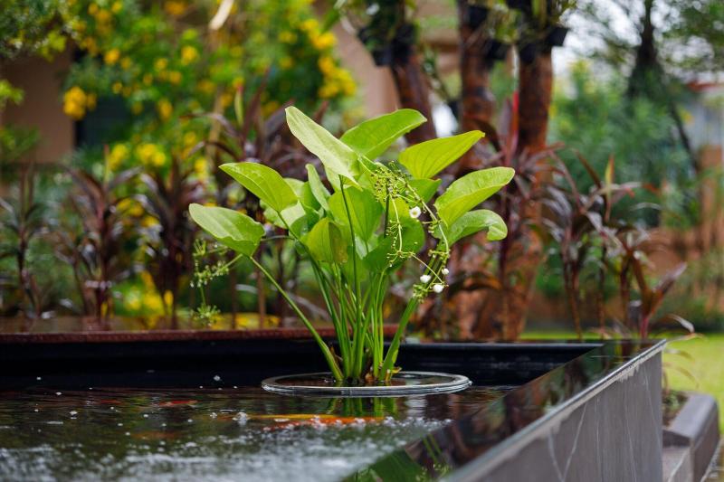 Hotel Baan Nern Khao Resort Pattaya