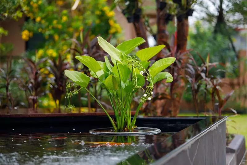 Hotelli Baan Nern Khao Resort Pattaya