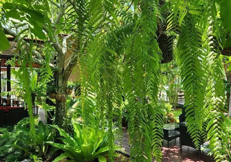 Hotelli Baan Nern Khao Resort Pattaya