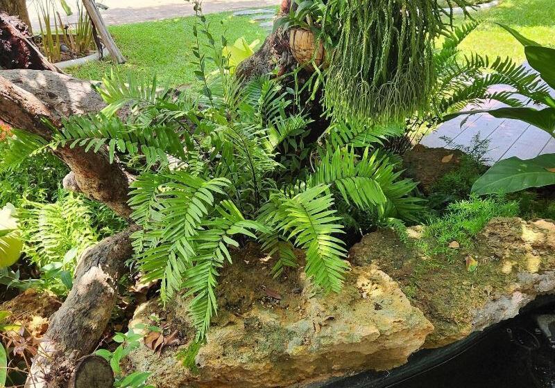 Hotel Baan Nern Khao Resort Pattaya