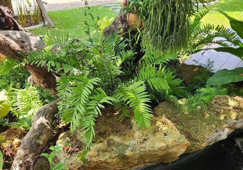 Hotelli Baan Nern Khao Resort Pattaya