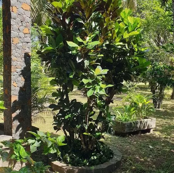 پانسیون Domaine Des Citronniers