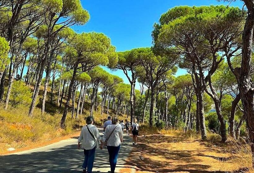 پانسیون Kay Loft