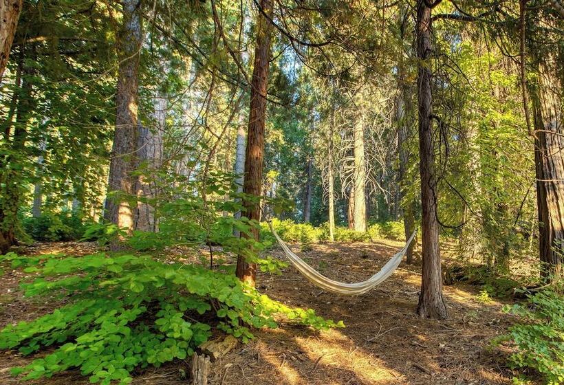 2 Decks W/ Lake Glimpse Views Modern Luxe Cabin A Frame Retreat By Avantstay