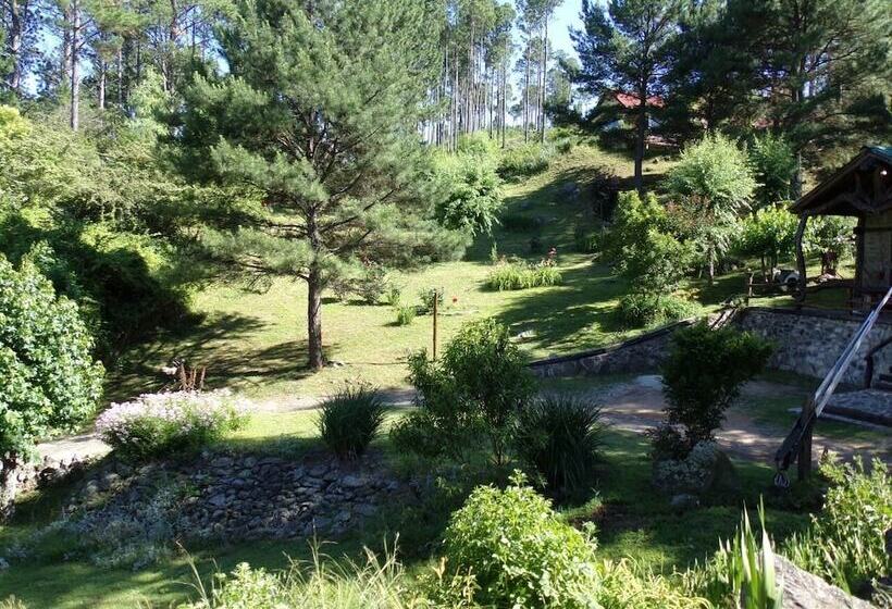 Suenos Del Bosque Apart