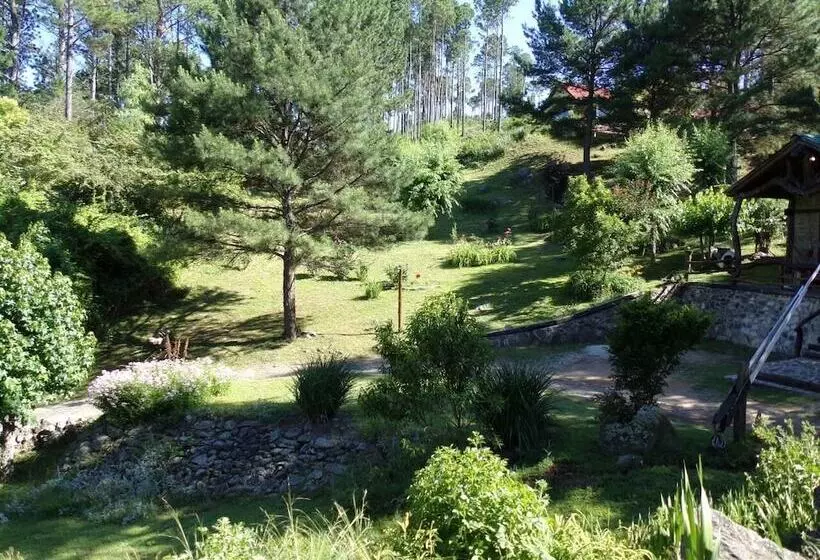 Suenos Del Bosque Apart