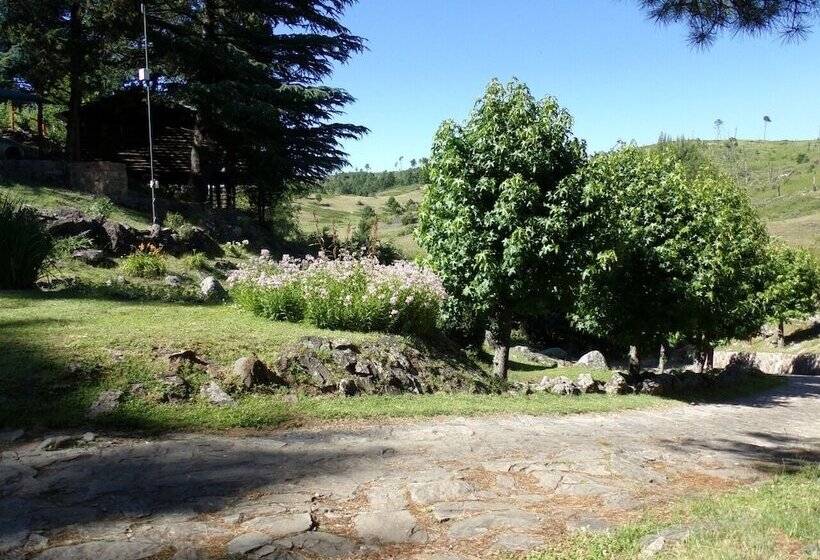 Suenos Del Bosque Apart